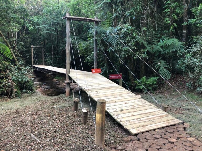 Ponte-Arte-Eucalipto-Ekoa-Morretes-Curitiba-5