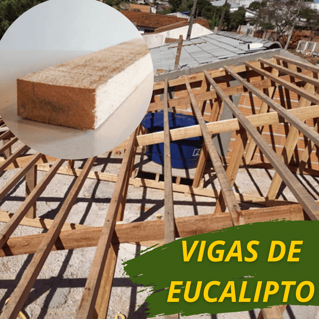 vigas de eucalipto